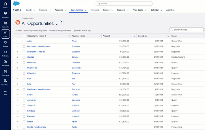 Interface de Salesforce Interface de Salesforce